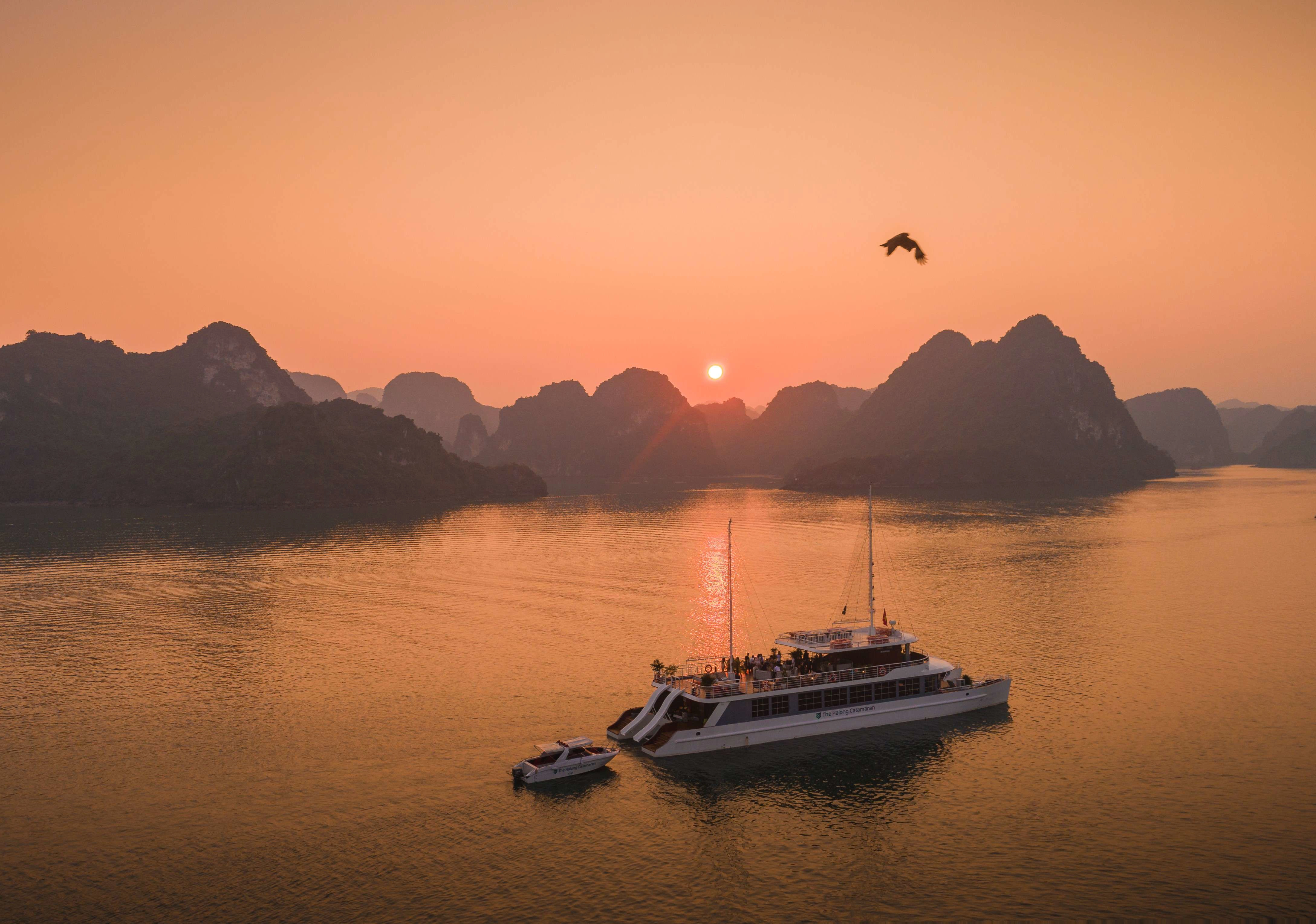 Day Tour | Explore Ha Long Bay & Lan Ha Bay by Catamaran Cruise
